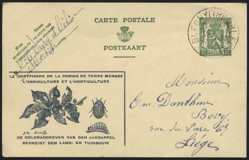 postcard-1